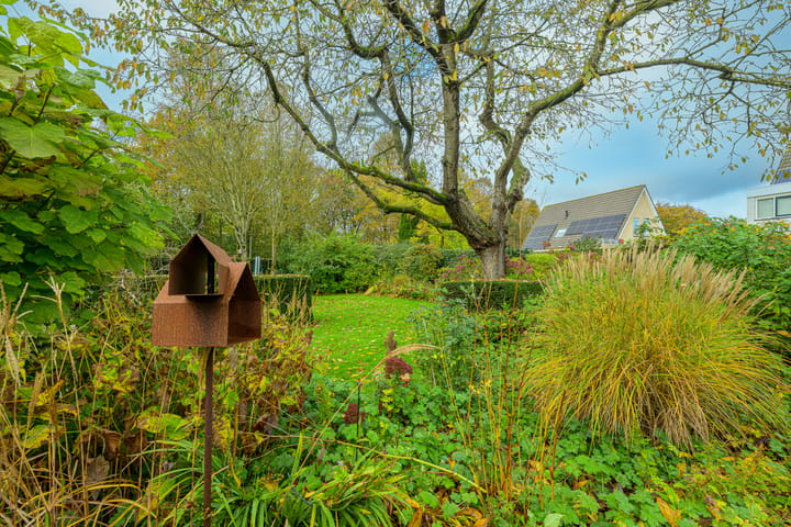 Photo 5 of Schorrekruid 38