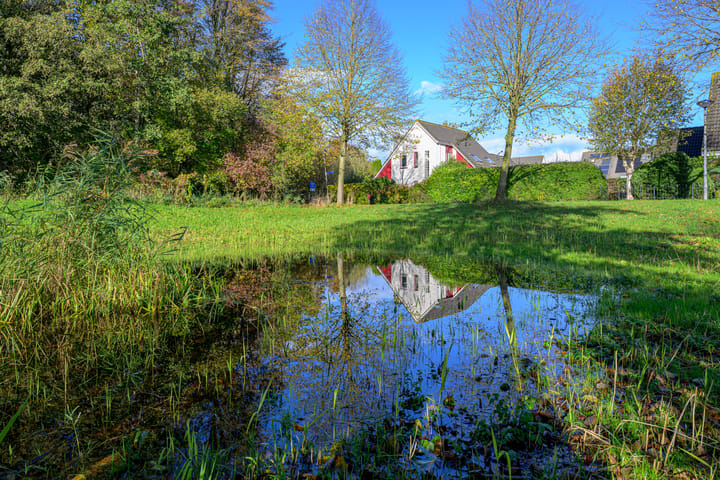 Photo 4 of Schorrekruid 38