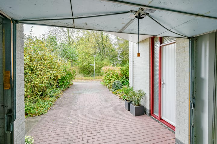 Photo 20 of Schorrekruid 38