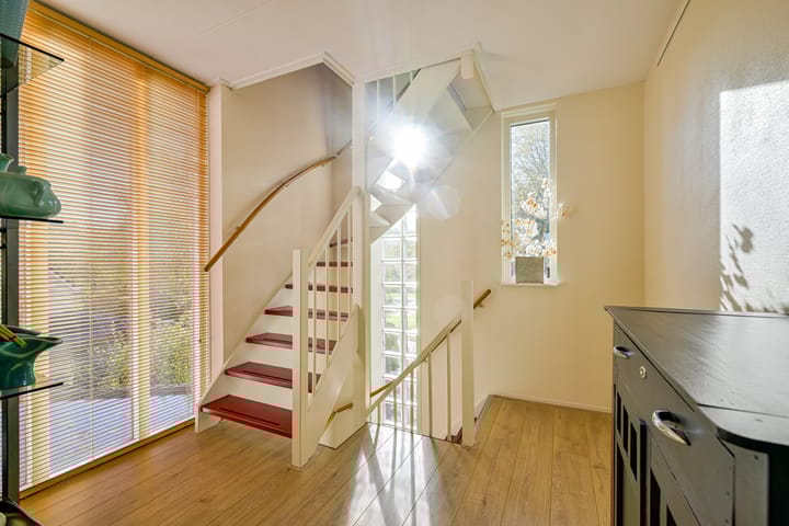 Photo 32 of Schorrekruid 38