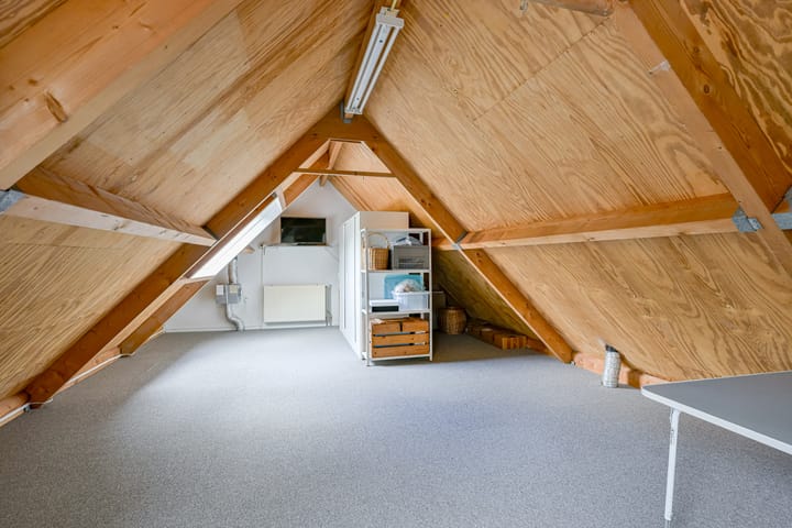 Photo 33 of Schorrekruid 38