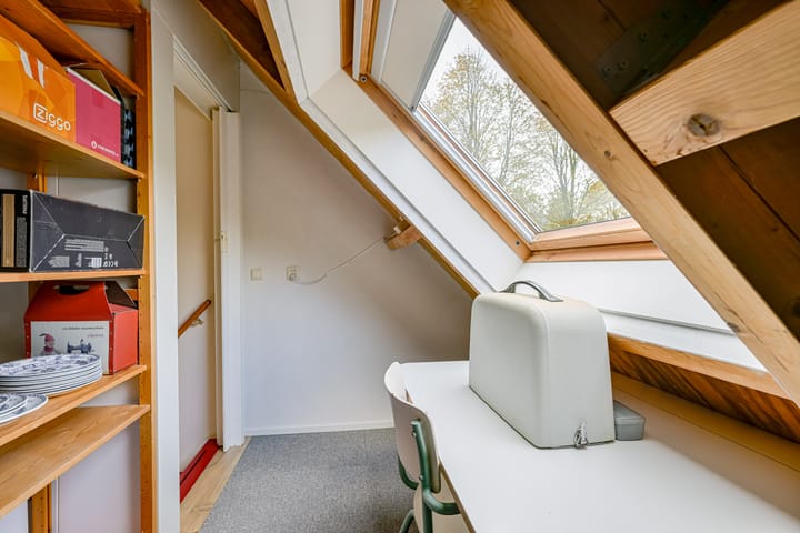 Photo 34 of Schorrekruid 38