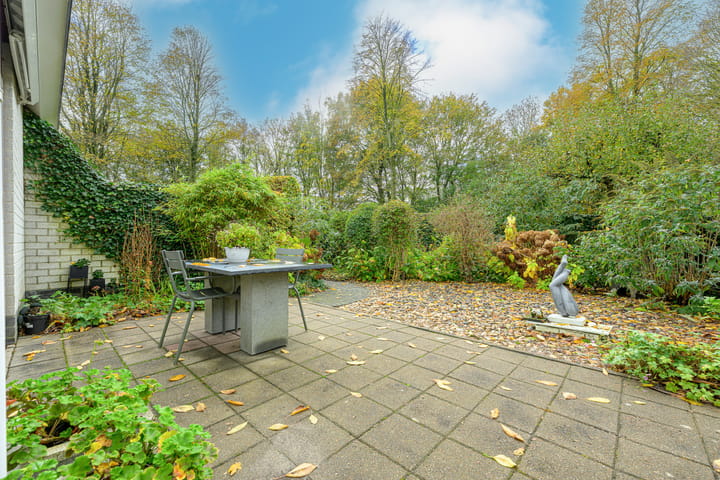 Photo 35 of Schorrekruid 38