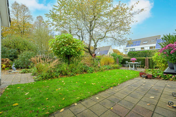 Photo 37 of Schorrekruid 38