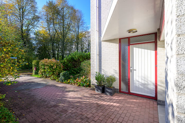 Photo 39 of Schorrekruid 38