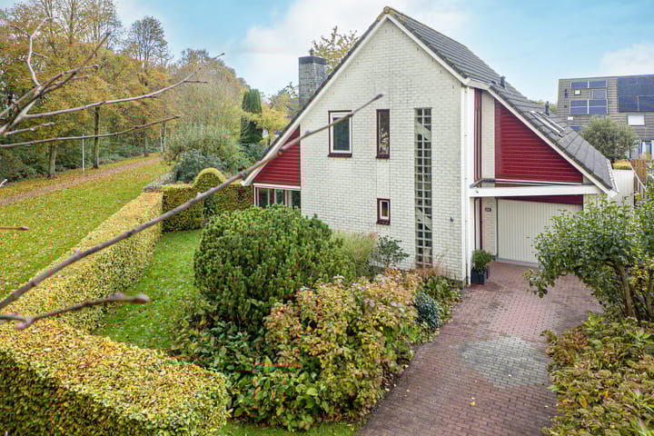 Photo 40 of Schorrekruid 38