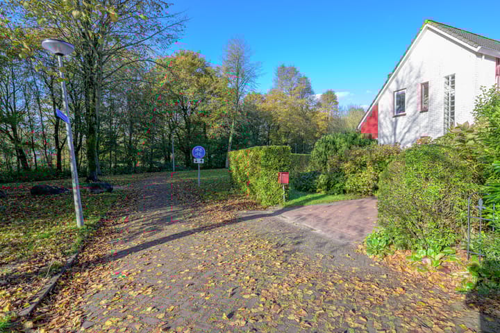 Photo 41 of Schorrekruid 38