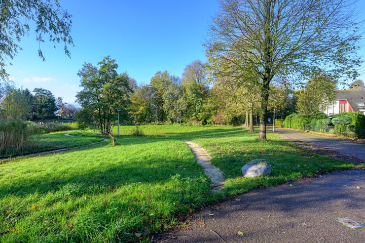 Photo 42 of Schorrekruid 38