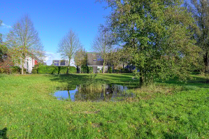 Photo 43 of Schorrekruid 38