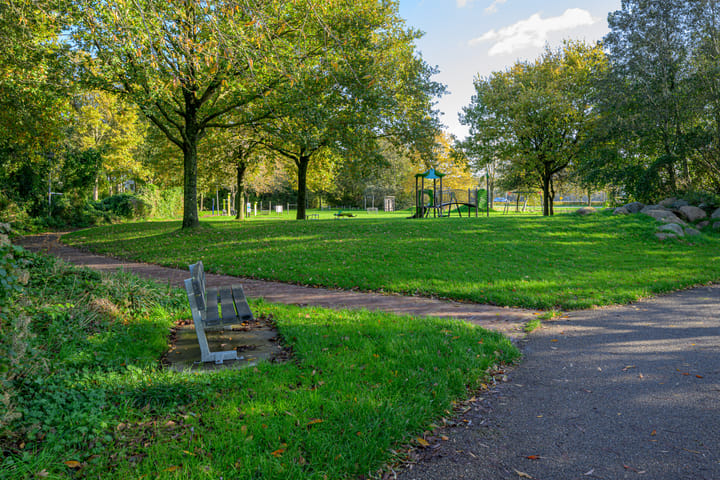 Photo 44 of Schorrekruid 38