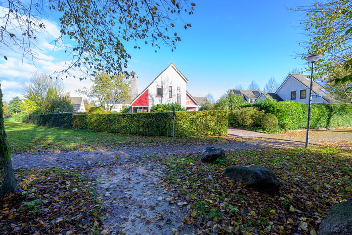 Photo 45 of Schorrekruid 38