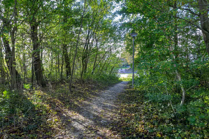 Photo 46 of Schorrekruid 38