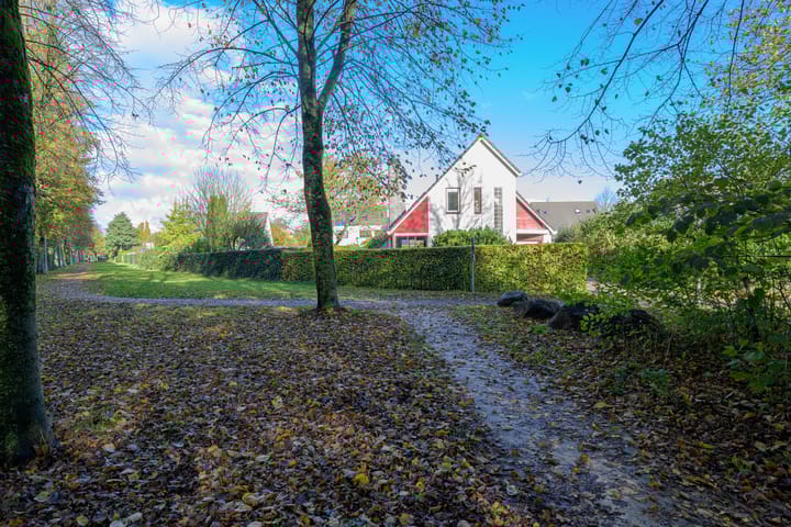 Photo 48 of Schorrekruid 38