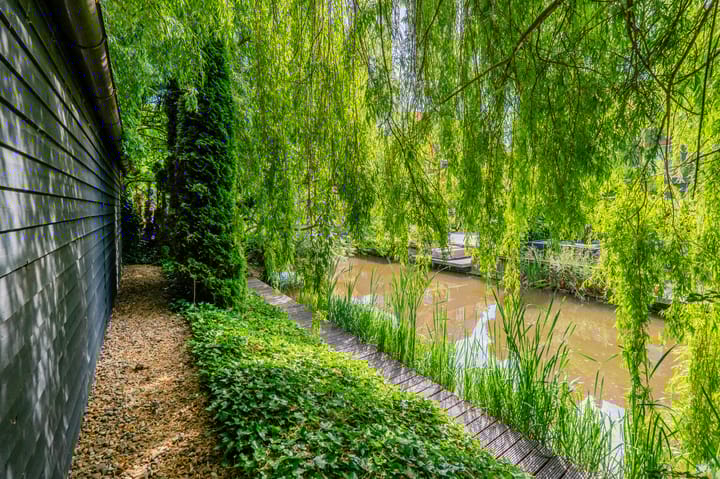 Photo 9 of Aalsmeerderweg 322