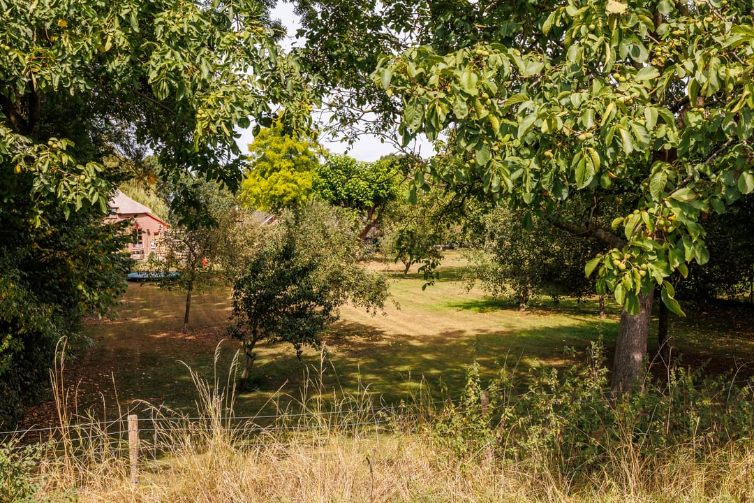 Foto 98 van Kerkstraat 23