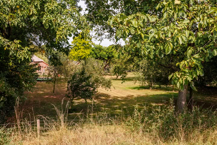 Photo 98 of Kerkstraat 23