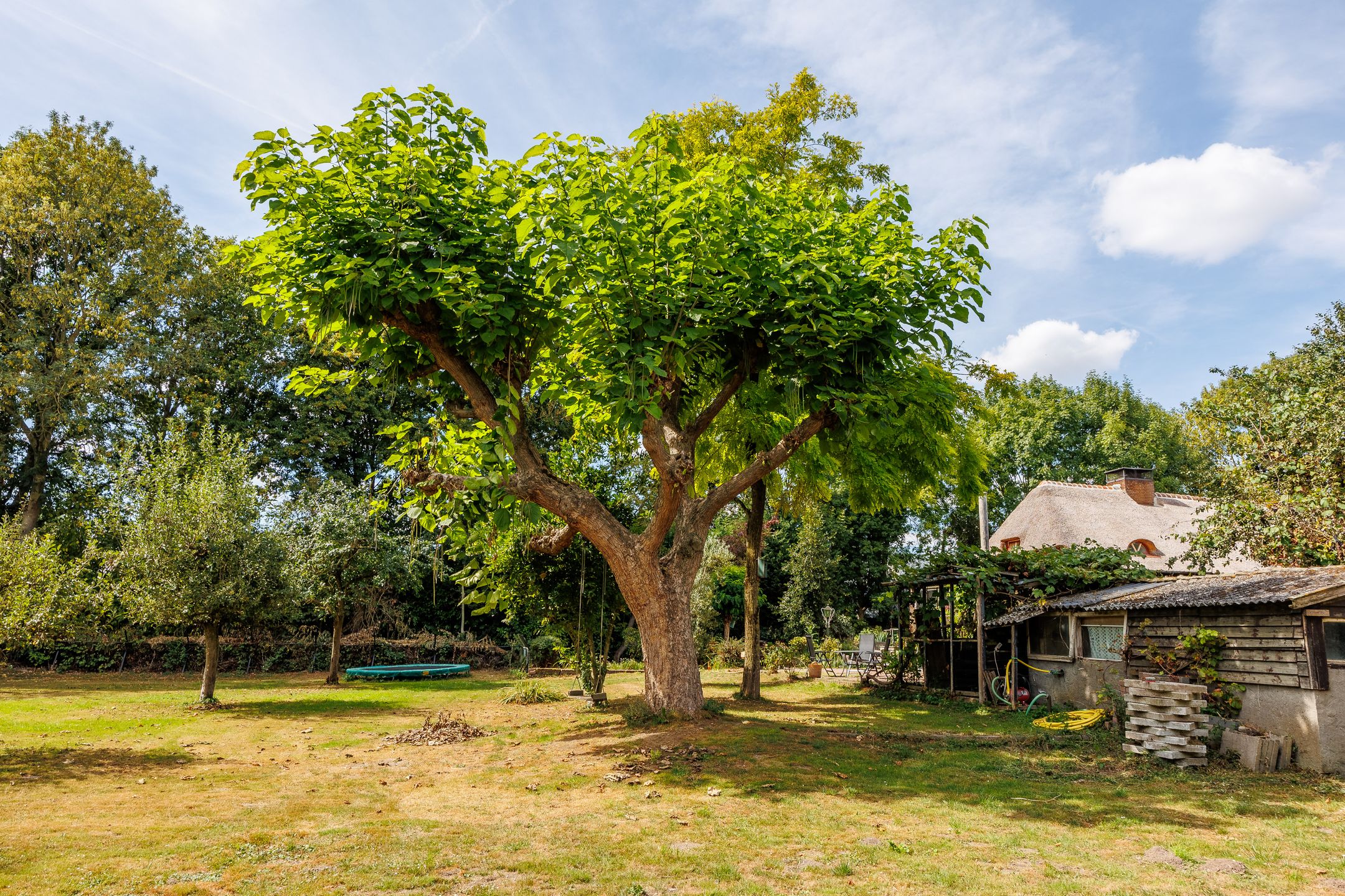 Foto 102 van Kerkstraat 23