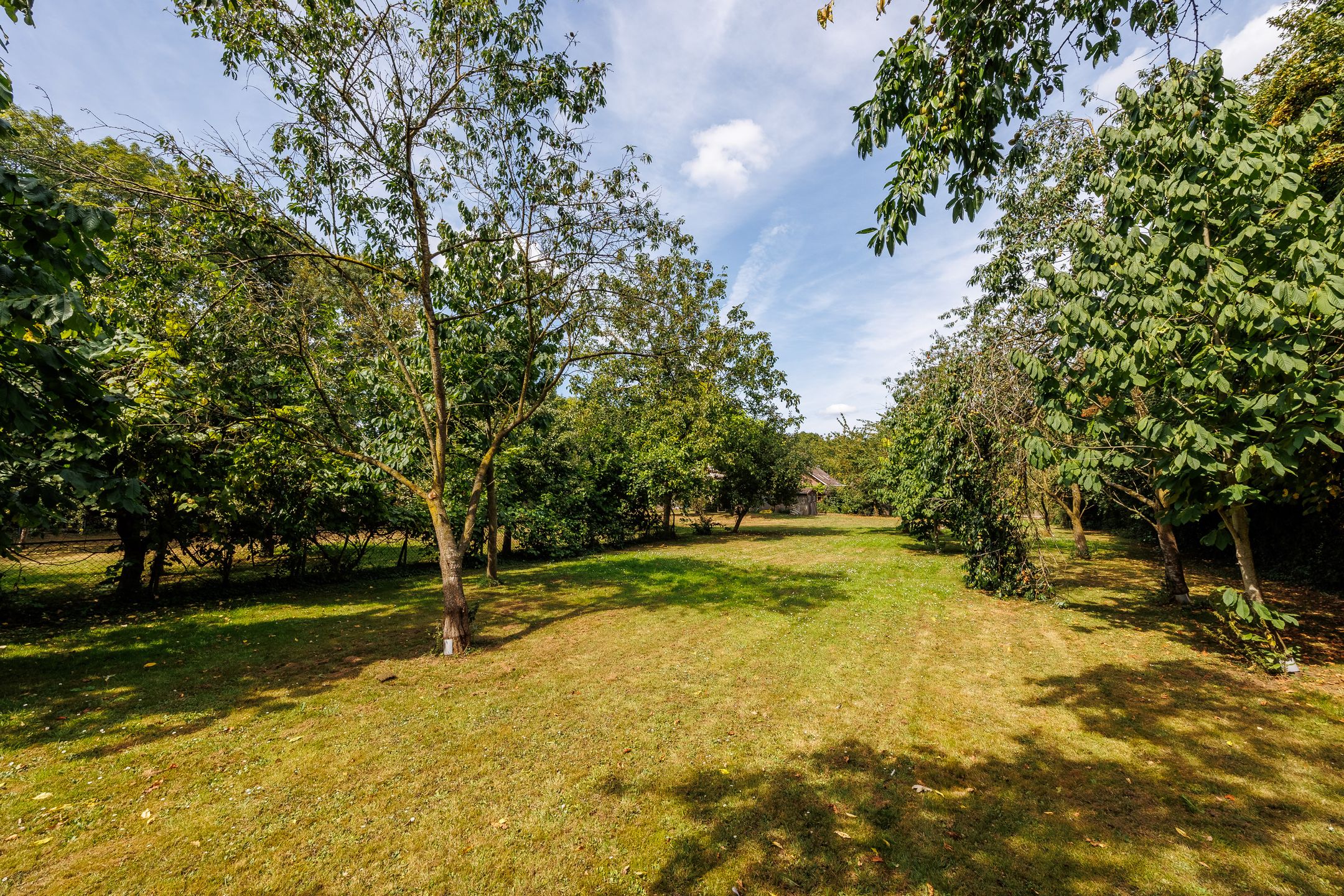 Foto 111 van Kerkstraat 23