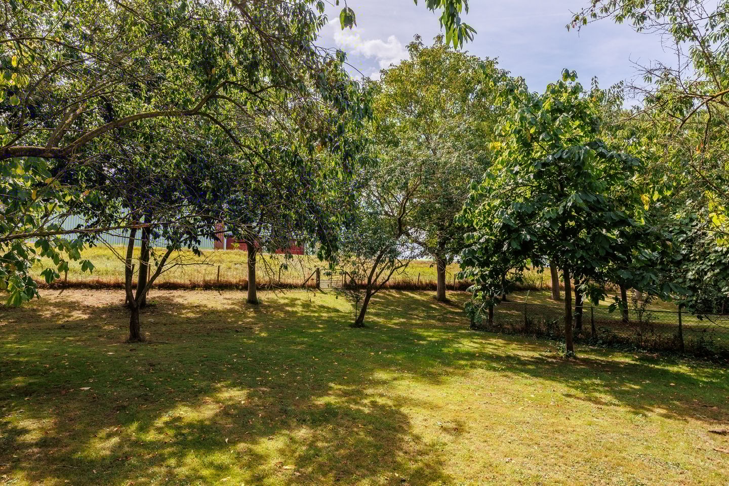 Foto 115 van Kerkstraat 23