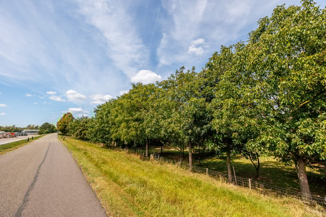 Foto 116 van Kerkstraat 23