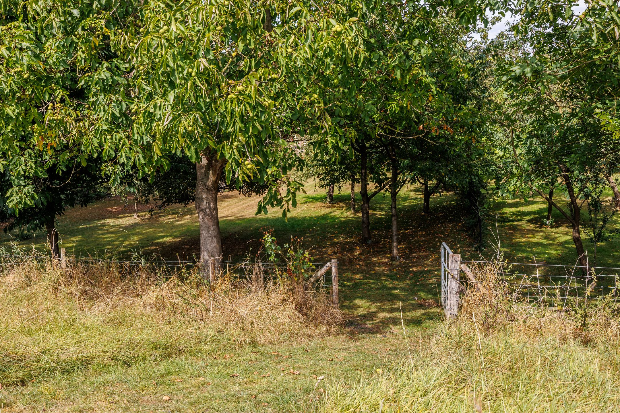 Foto 117 van Kerkstraat 23