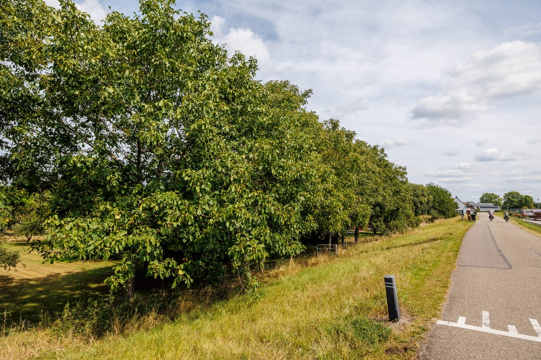 Foto 118 van Kerkstraat 23