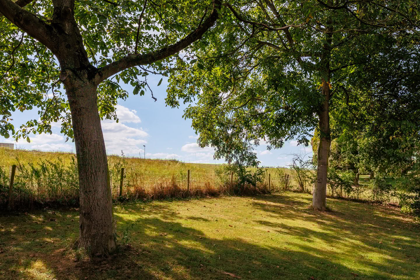 Foto 119 van Kerkstraat 23