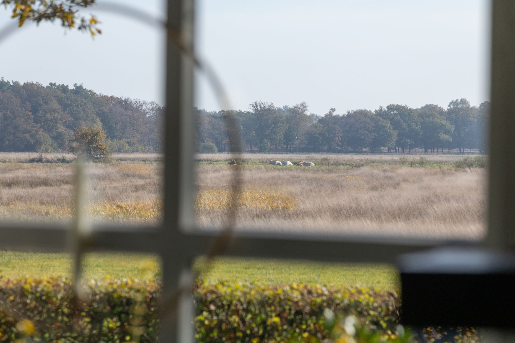 Photo 9 of Oud Avereest 52