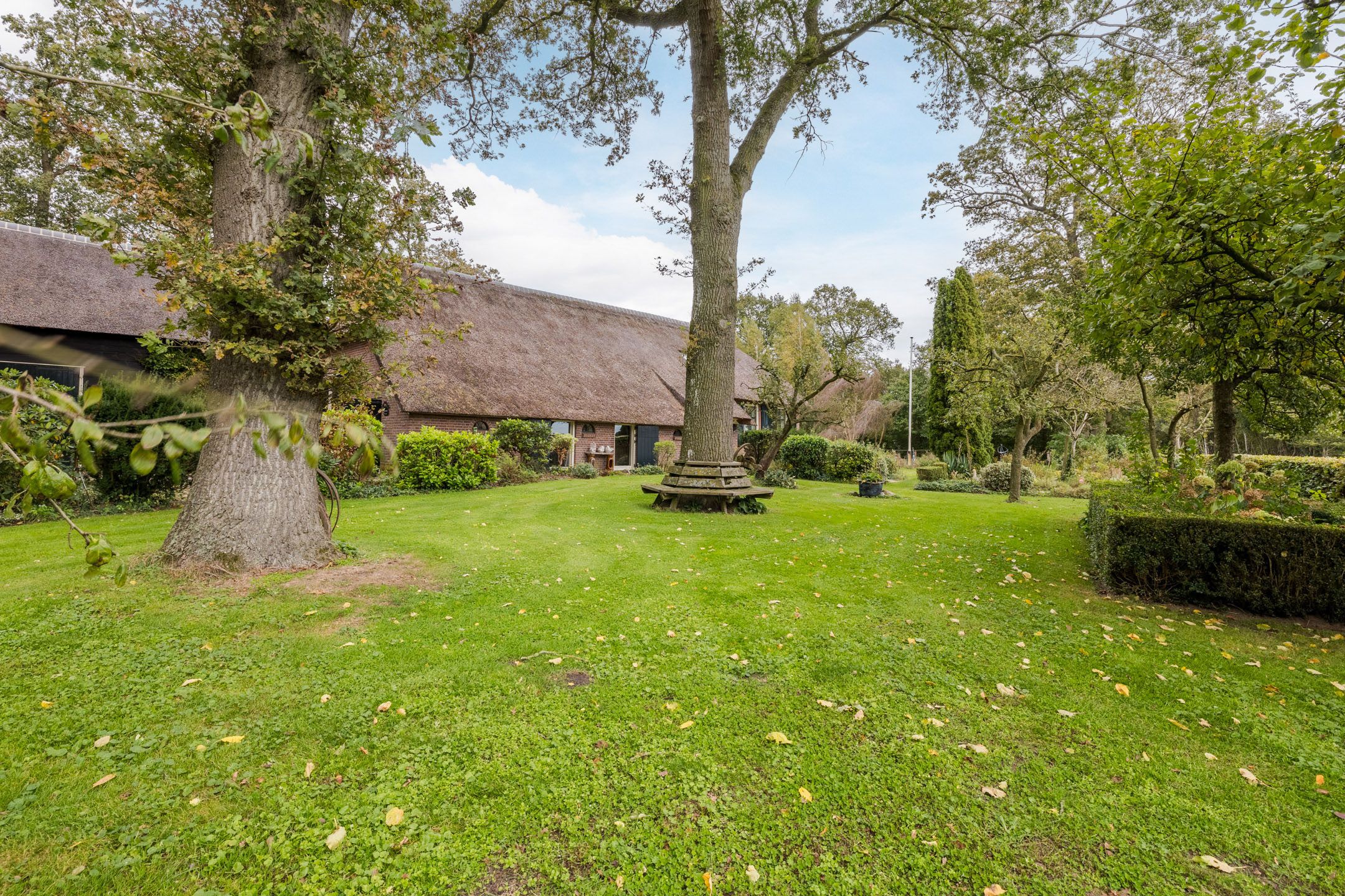 Photo 57 of Oud Avereest 52