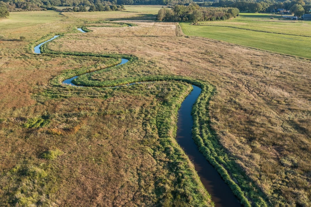 Photo 68 of Oud Avereest 52