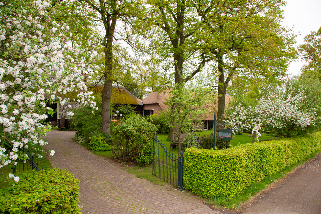 Photo 71 of Oud Avereest 52