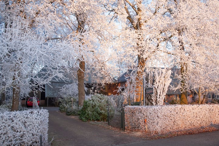 Foto 72 van Oud Avereest 52