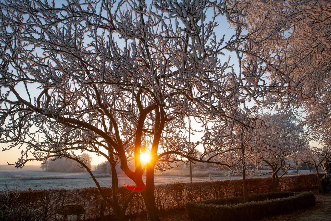 Photo 77 of Oud Avereest 52