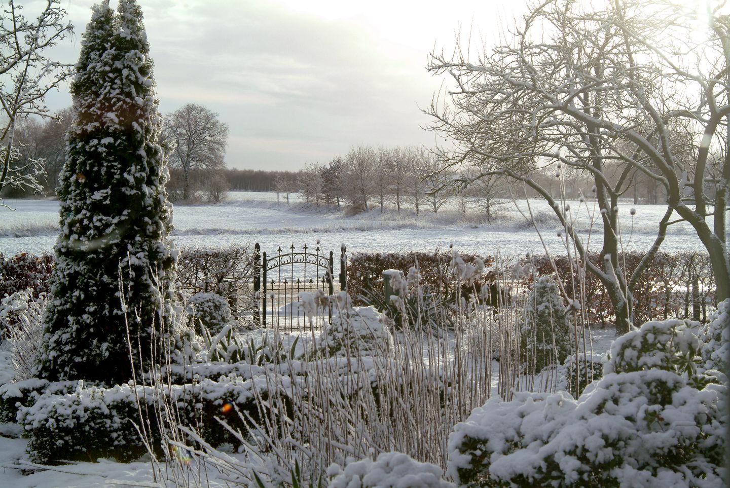 Photo 79 of Oud Avereest 52