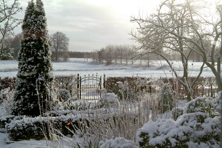 Foto 79 van Oud Avereest 52