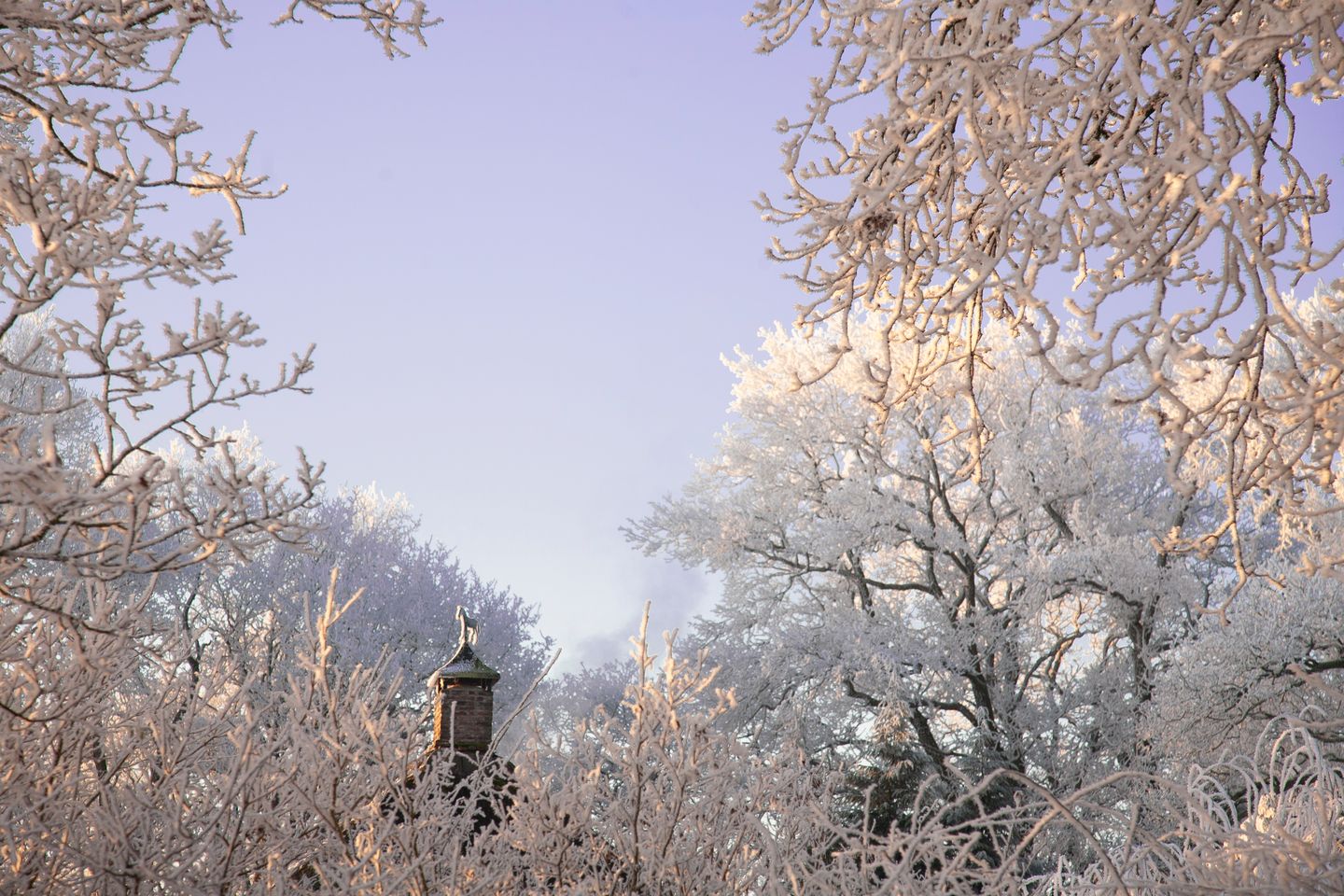 Photo 80 of Oud Avereest 52