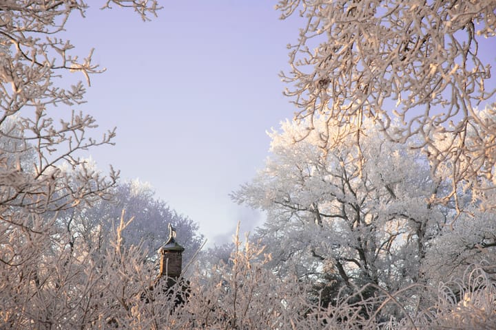 Foto 80 van Oud Avereest 52