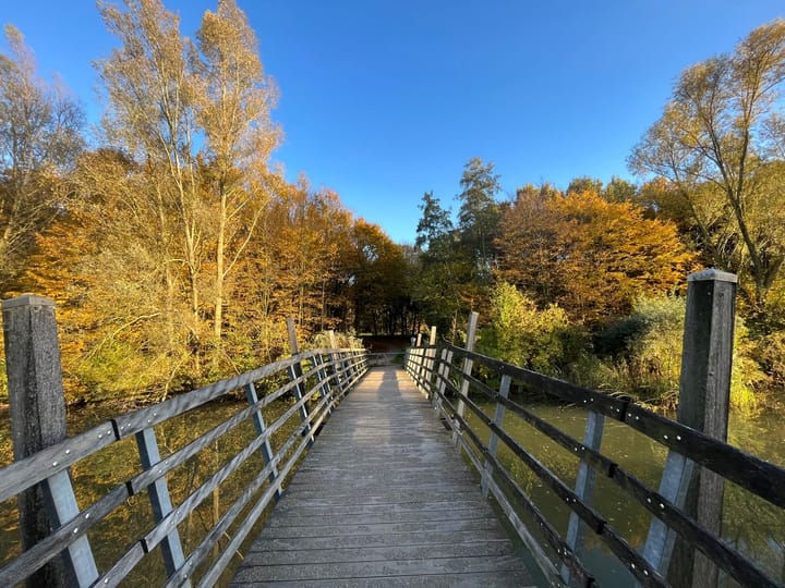 Foto 45 van Emily Brontësingel 125