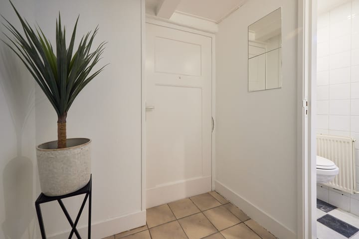 Photo 48 of Jan van der Heijdenstraat 15