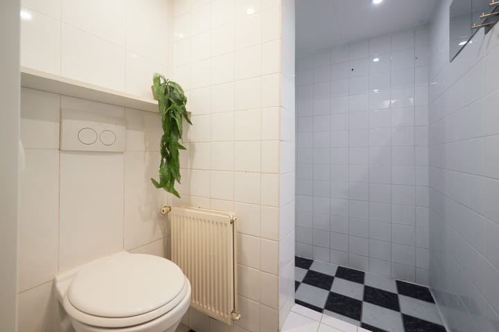 Photo 51 of Jan van der Heijdenstraat 15