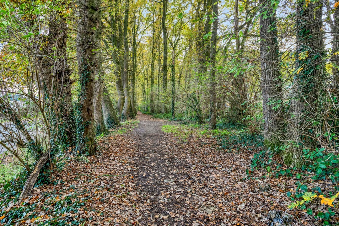 Foto 37 van Sint Josephstraat 62