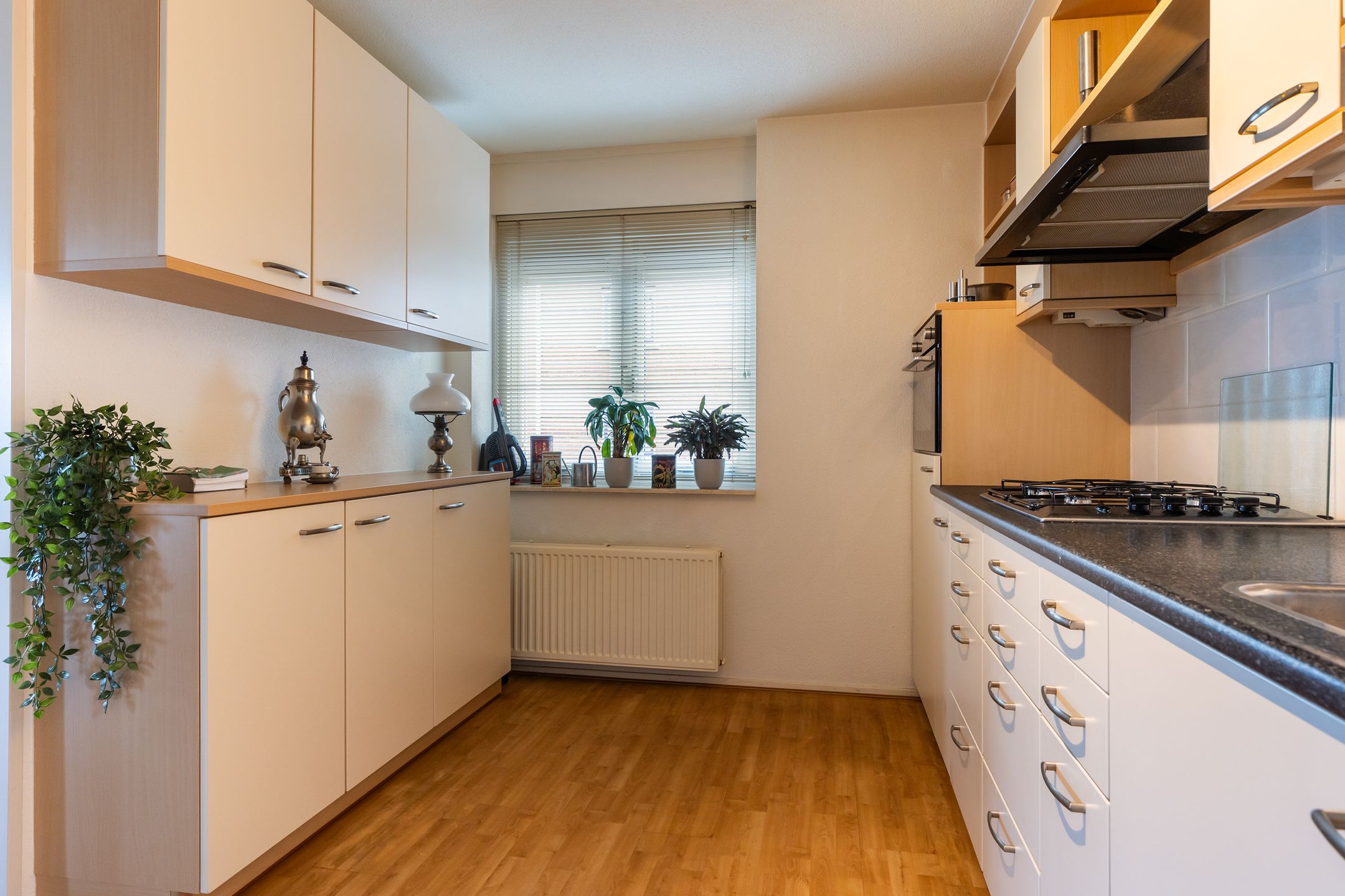 Foto 12 van Woudhuizerallee 198