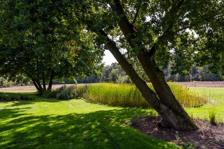 Photo 29 of Soestdijkerweg 10