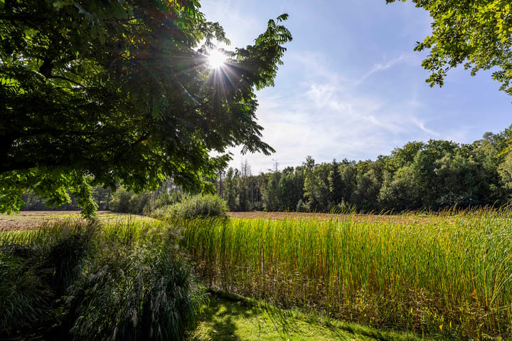 Photo 24 of Soestdijkerweg 10