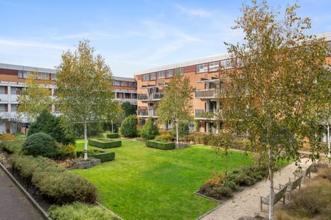 Dorrestein 38 tertiary image