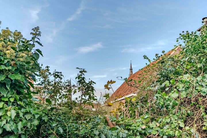 Photo 21 of Harmenkokslaan 82