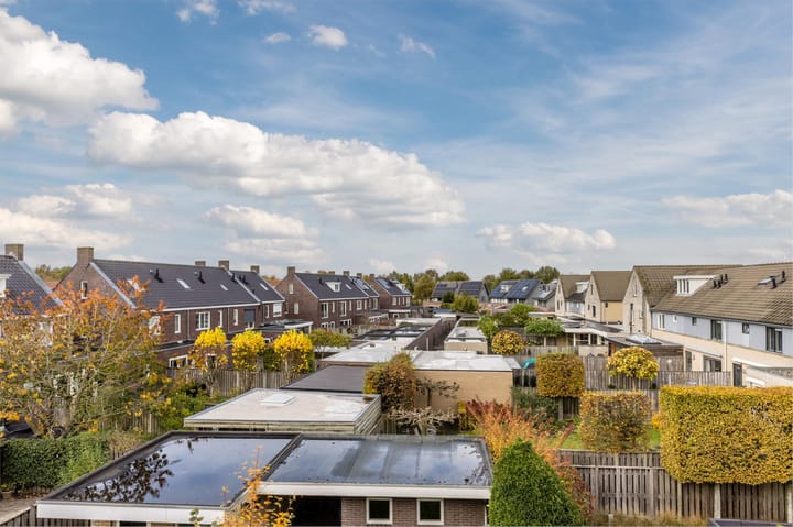 Foto 36 van Jan Wolfspad 40