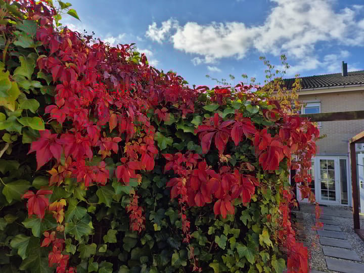 Photo 23 of Groene Steen 13