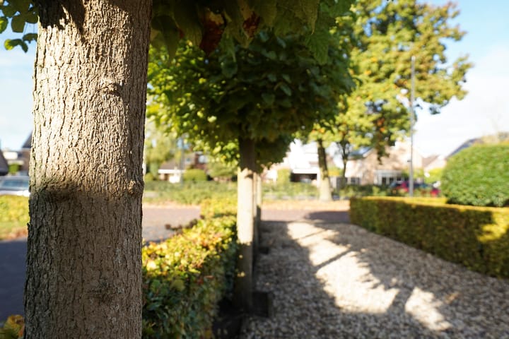 Foto 5 van Voorthuizerstraat 17