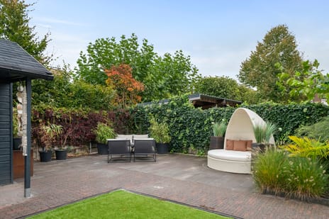 Akelei 6 tertiary image